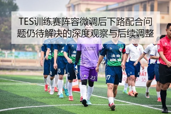TES训练赛阵容微调后下路配合问题仍待解决的深度观察与后续调整